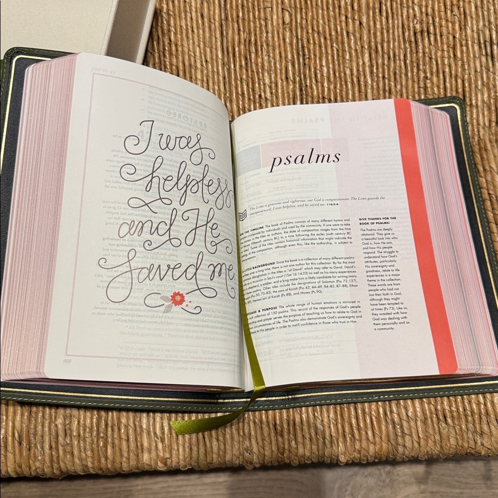 She Reads Truth Leather bound Bible